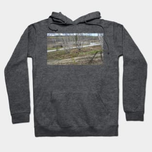 Trails Hoodie